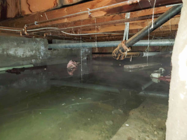 Water damage restoration mold remediation in Mcdade, TX
