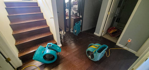 Best Basement water damage restoration  in Mcdade, TX