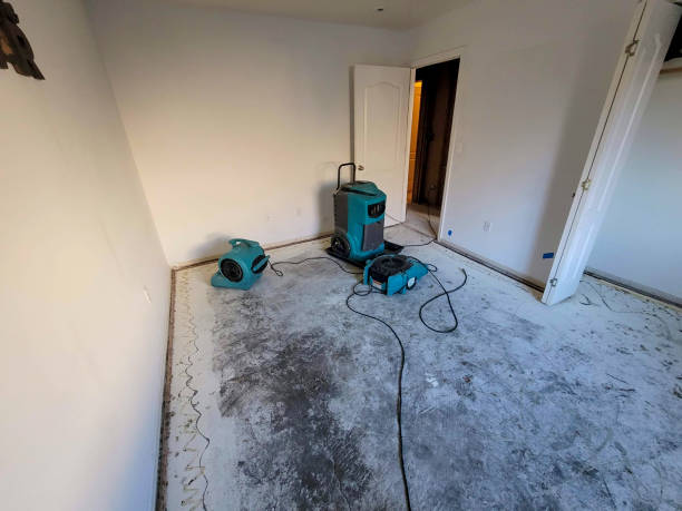 Best Residential water damage restoration  in Mcdade, TX