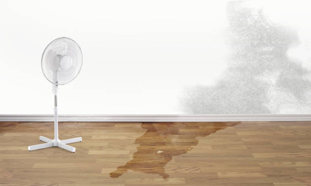 Best Fire Damage Restoration  in Mcdade, TX