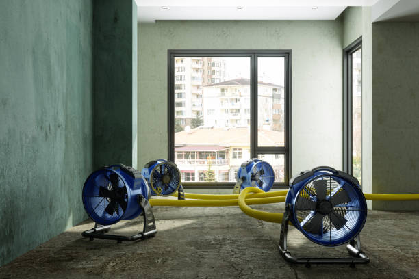Best Water damage restoration near me  in Mcdade, TX