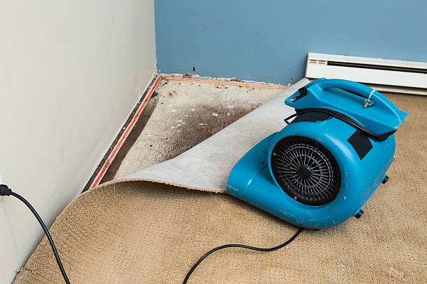 Local water damage restoration in Mcdade, TX